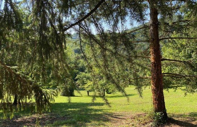 Gorgeous Vacation Home With Pool - Foto 30