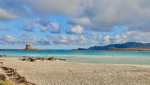 Villas with air conditioning and shared pool, just a few minutes from La Pelosa beach - Foto 3