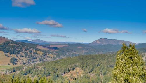 Stunning 360 Ocean Views, Near Redwoods NP! - Foto 2