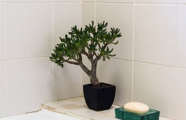 Beautiful 2 Story Manor Close to Beach and all - Foto 36