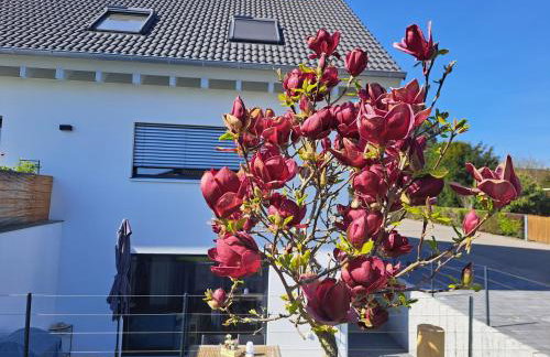 Stegmann Horn - Foto 21