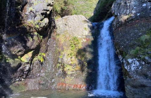 Casa de São João - Foto 56