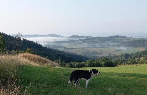 Smrek Sokolec Agroturystyka - Foto 33