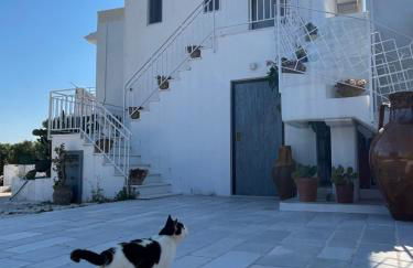 Casa alle Colonne - Foto 22