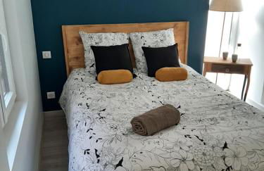 LOUHANS Les Petites Arcades avec ses deux appartements coté Arcades et coté cour - Foto 1