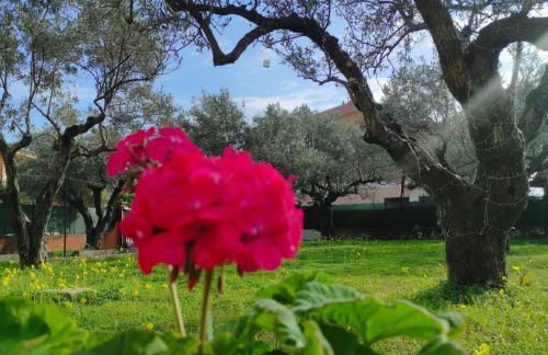 Casa torelli azzurro - Foto 12