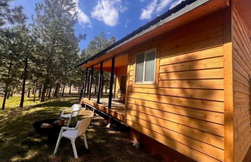 Rustic 1 bd 1 ba Cabin at New Waitts Lake Resort - Foto 6
