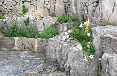 Apartmani Milenko Lubenice - Foto 24