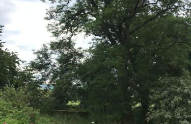 Gorgeous boutique off-grid cottage near Peebles - Foto 54