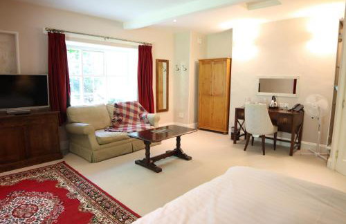 Plas Nanteos Mansion - Foto 63