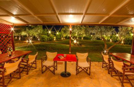 Agroktima Elia - Foto 3