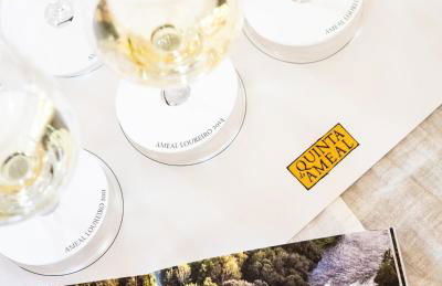 Wine Tourism - Quinta do Ameal - Foto 20