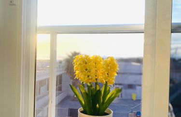 Sunny sweet apartment Olga - Foto 37