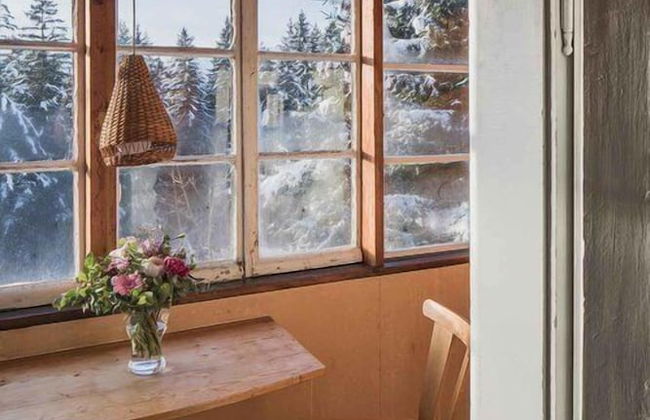 Stoantaler Höfl - Photo 17