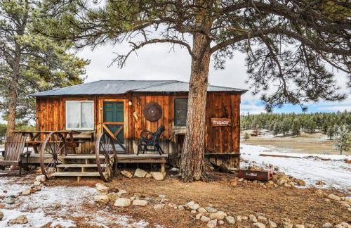 Cabin in Colorado NTL Forest - Foto 4