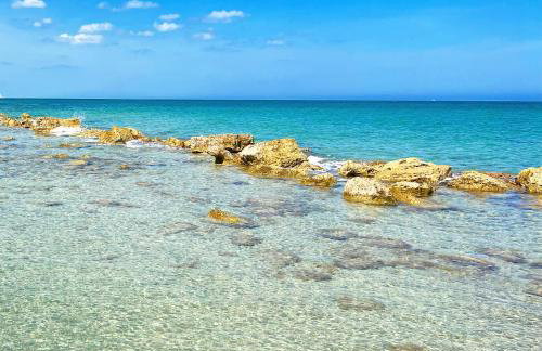 Masseria Vittoria - Foto 80