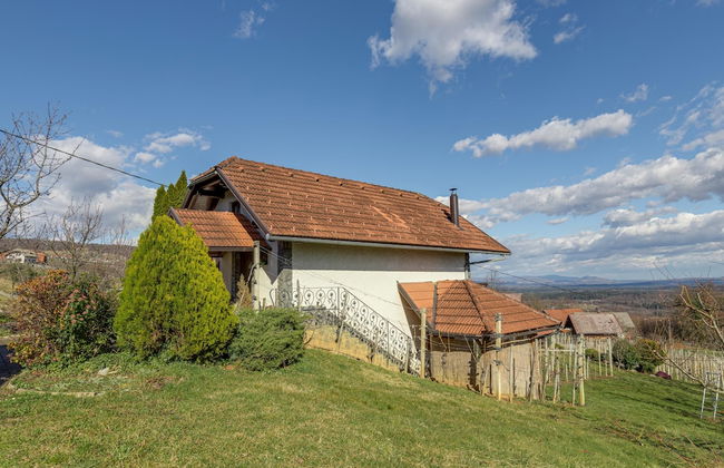 Vineyard Cottage Bahor - Foto 22