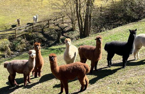 Ferienwohnung Schwitalla - Foto 5