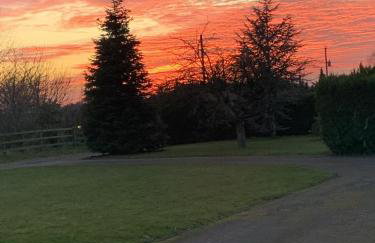 Orchard Hideaway, Bielby, York - Photo 38