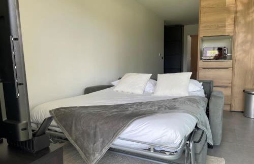 T2 cosy avec terrasse et jardin à Belley - Foto 6