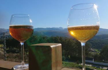 Cara norte de Gredos - Photo 39