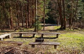 Arber Apartments - Zwieslerwaldhaus - Foto 7