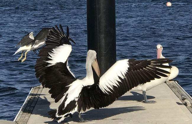 Sunrise on Falie - Foto 80