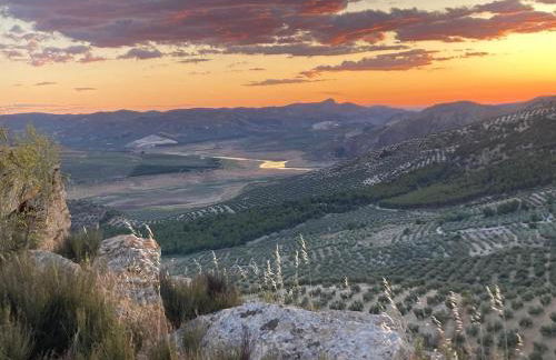 Dehesilla Olive Orchard Retreat - Foto 51