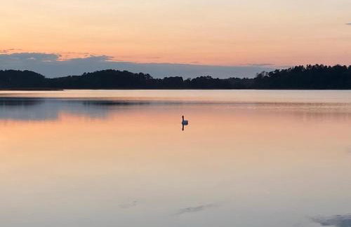 Dom Sielskie Szkotowo - Foto 28