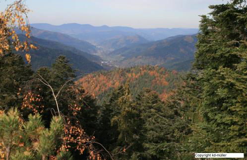 Haus am Waldrand - Foto 19