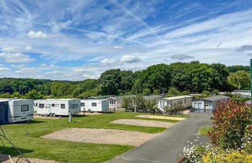 Forest Sherman - Uk50089 - Foto 9