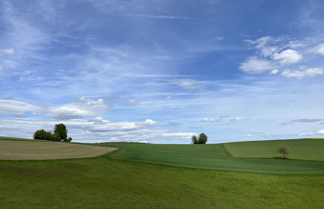 Dorf 4/ Haus 27 - Foto 39