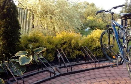 Cztery Pory Roku - Foto 54