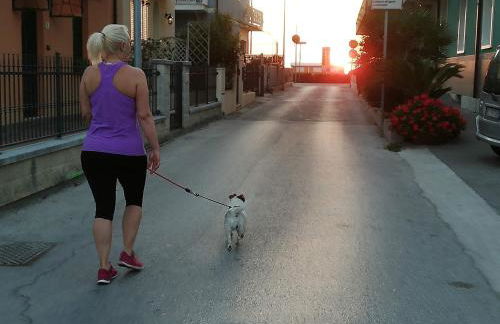 La Casa di Pamy - Foto 43