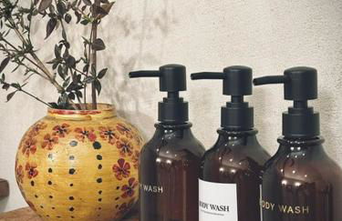 Mas Ardéchois de caractère - Photo 11