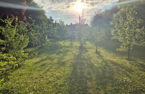 The Old Mill Cottage - Foto 47