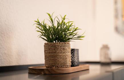 Hannas Lieblingsplatz - Foto 16