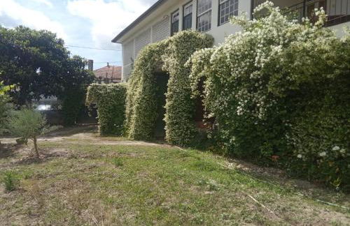 Quinta do Arieiro - Foto 7