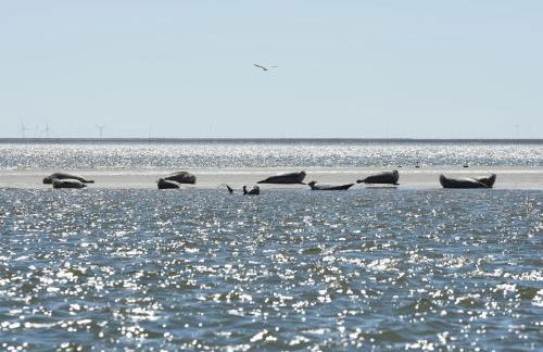 Strandperle-Föhr - Foto 16