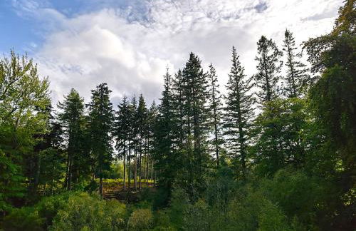 Fersit Log Cottage - Foto 6