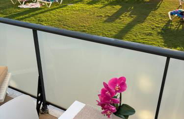 Sunrise House MET Oliva nova - Photo 21