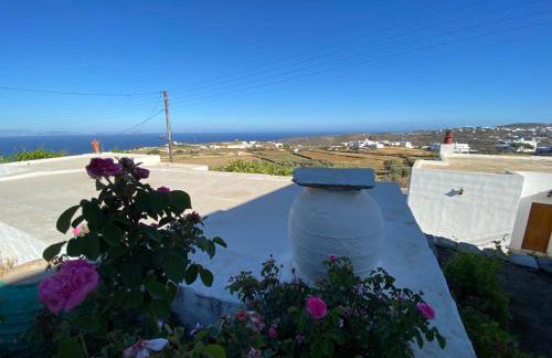 Ninemia Apartment - Foto 3