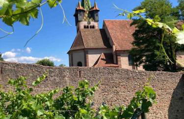 Le Belvédère Alsacien - Foto 38