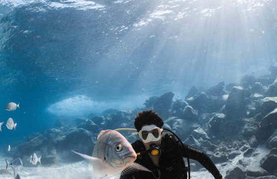 Immersione per principianti a Costa Teguise - Foto 11