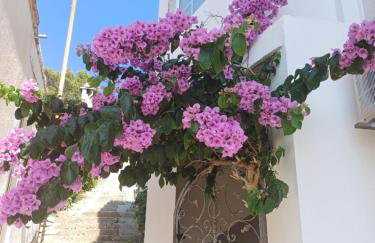 Apartman Maris, self check in - Photo 35