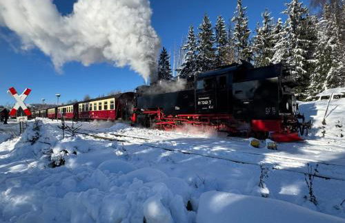 Ferienwohnung Bella - mit Waschmaschine, Fahrstuhl und Carport in ruhiger Altstadtlage von Ballenstedt - Foto 46
