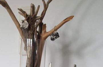 Ferienwohnung Born am Darßwald OG - Foto 12