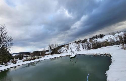 Domek Bieszczadzki Staw - Noclegi Czarna - Foto 37