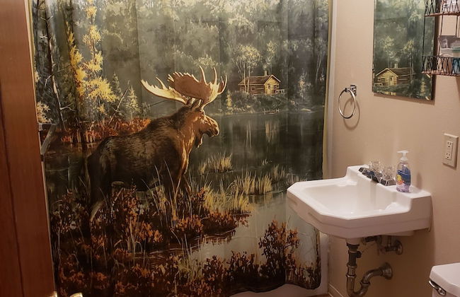 lazy bear cabins - Foto 44