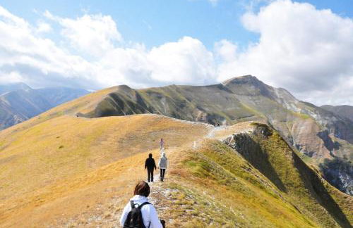 Agriturismo Le Castellare - Foto 51